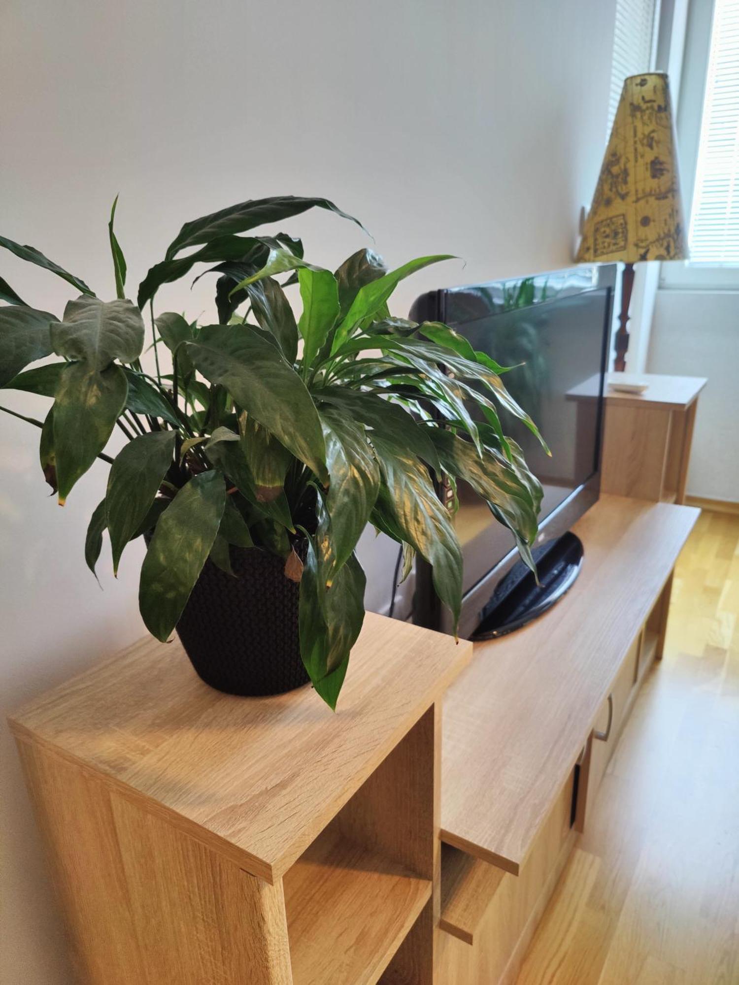 Apartman Aleksic Ni Εξωτερικό φωτογραφία