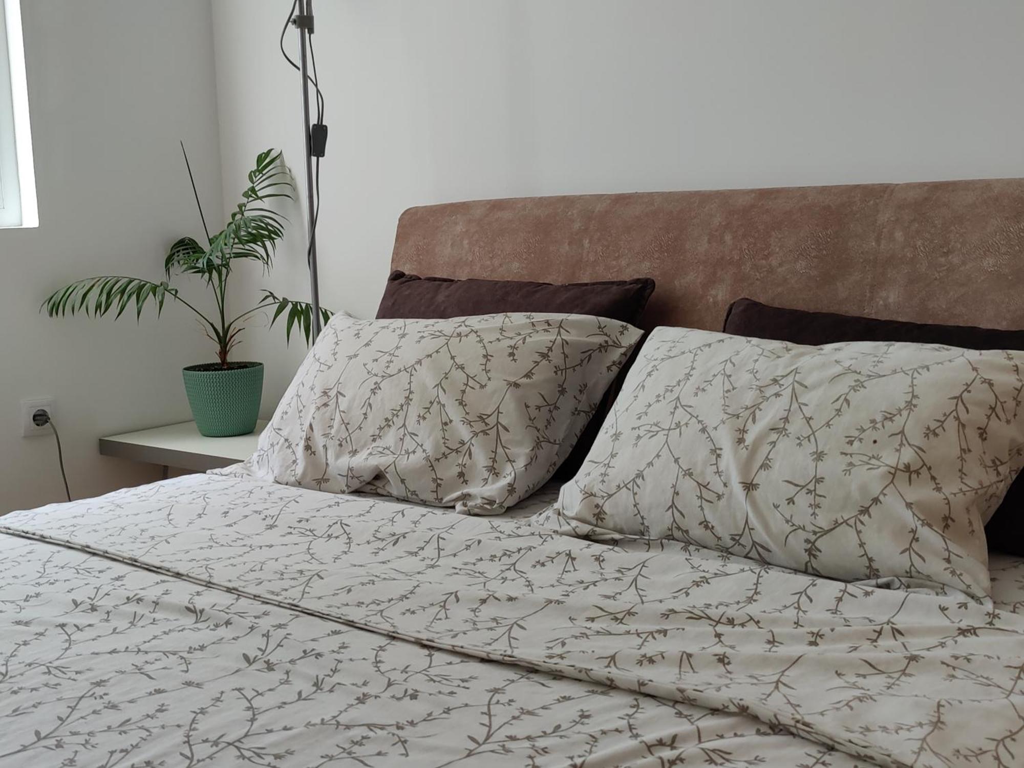Apartman Aleksic Ni Εξωτερικό φωτογραφία